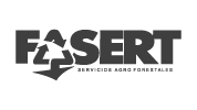 fasert